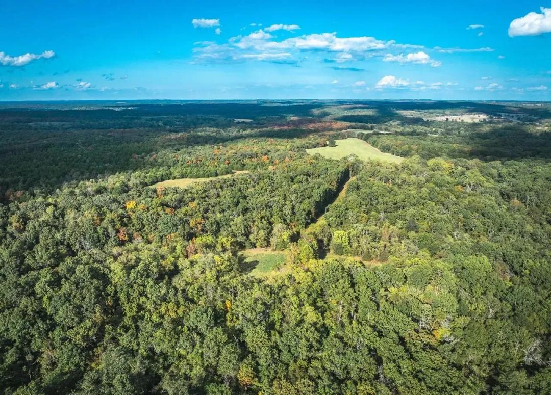 Sovereign Oaks-Tract B