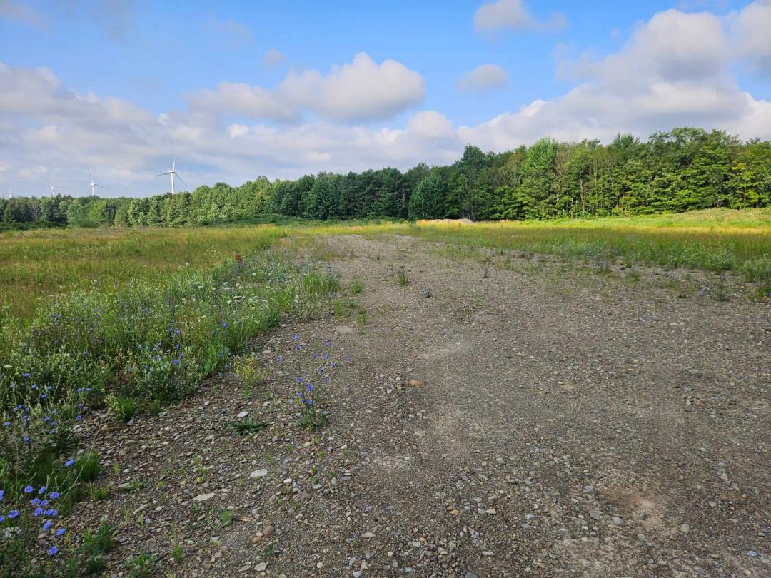 25.00 Acres at 3652 Devinney Road