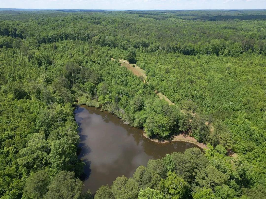 152+/- Acres Hwy 86 Pickens County, AL