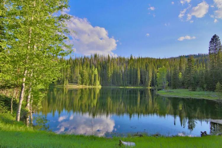 Summit Lake Ranch