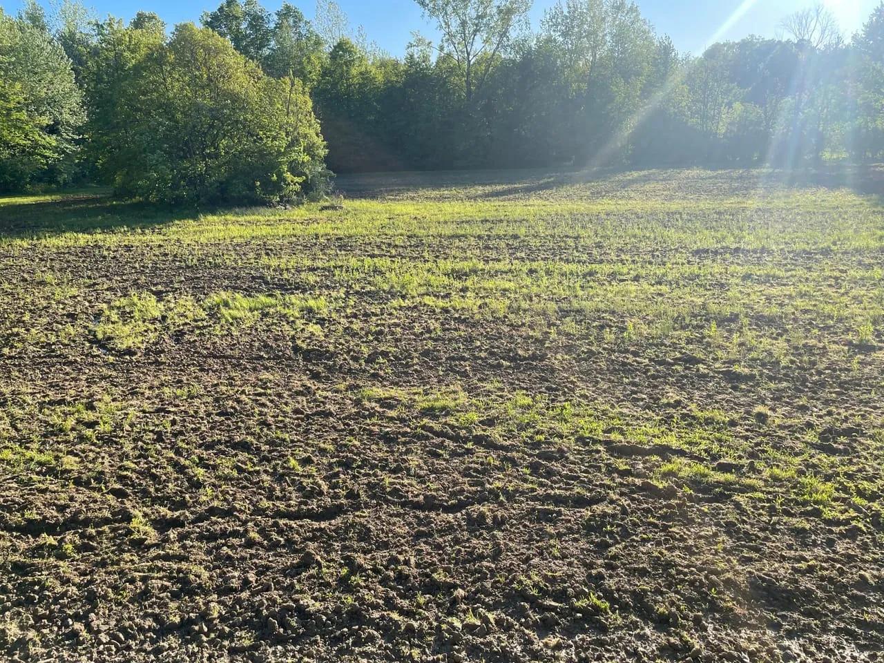 85334228-86