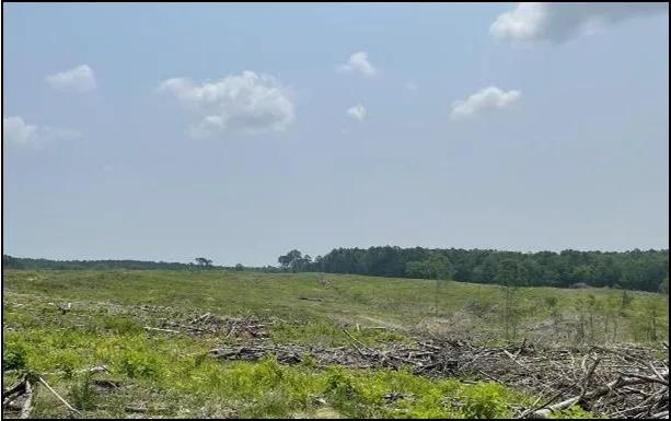 154.92 Acres in Grenada County in Coffeeville, MS