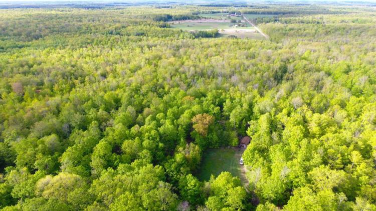 Cozy cabin on wooded acreage bordering Marathon County Forest