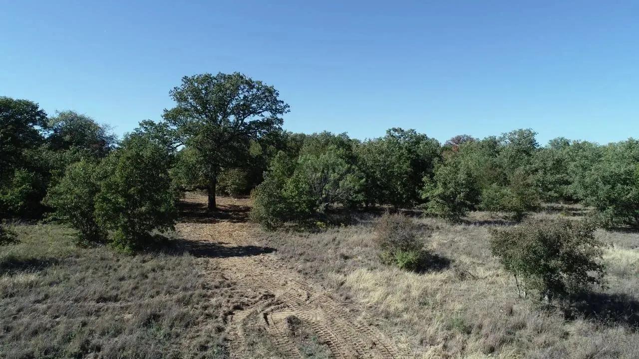 85389851-0