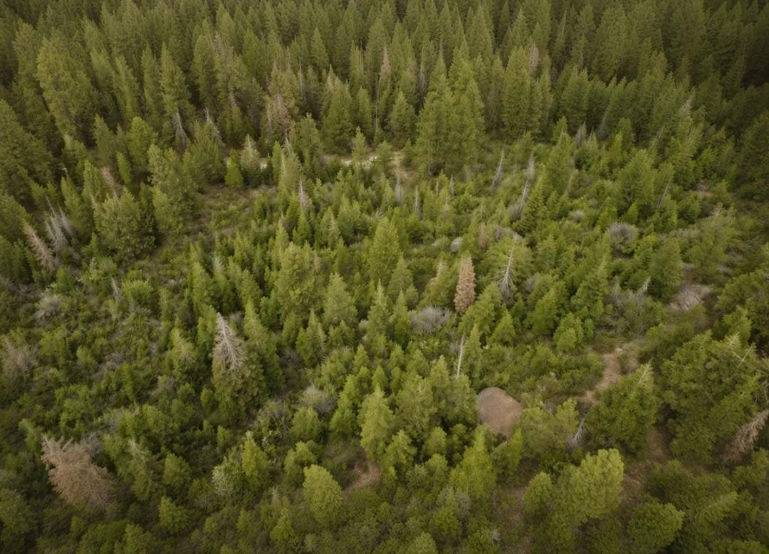 2.28 Acres, Klamath, Oregon, R395673