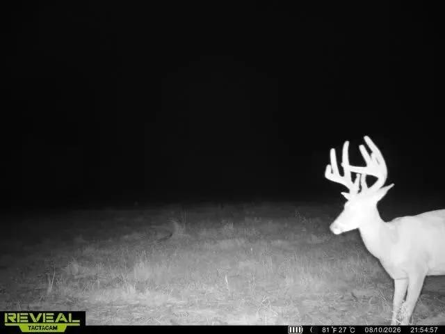 70 Acres of Hunting Land in Coffey County, Kansas for Sale