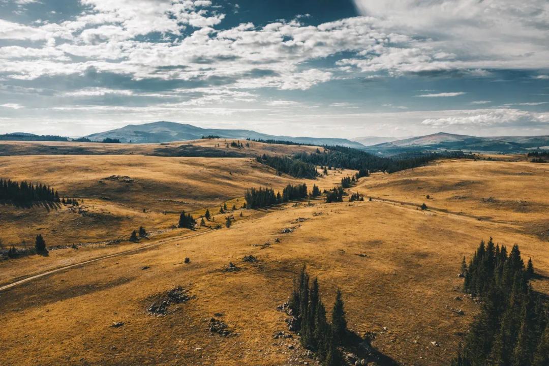35.91 Acres, Albany, WY, Combined