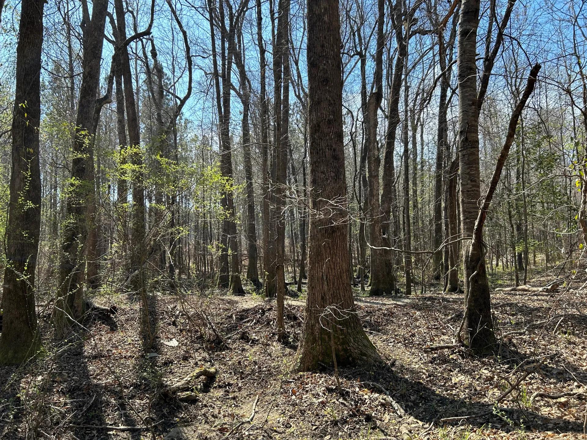 85488739-4