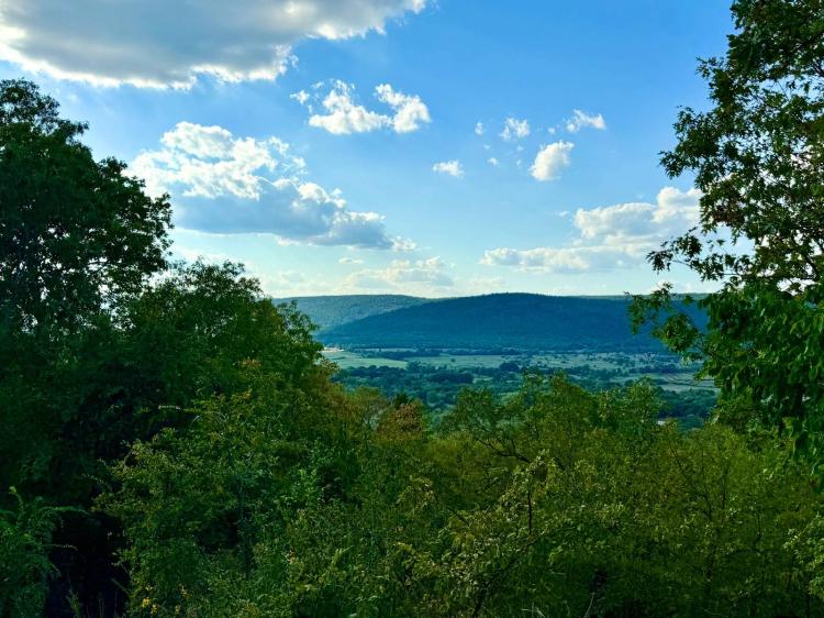 25.00 Acres at 2 Moonshine Drive