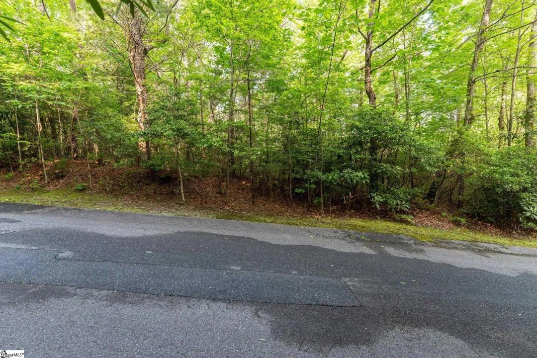 0.62 Acres of Land for Sale in Cleveland, SC