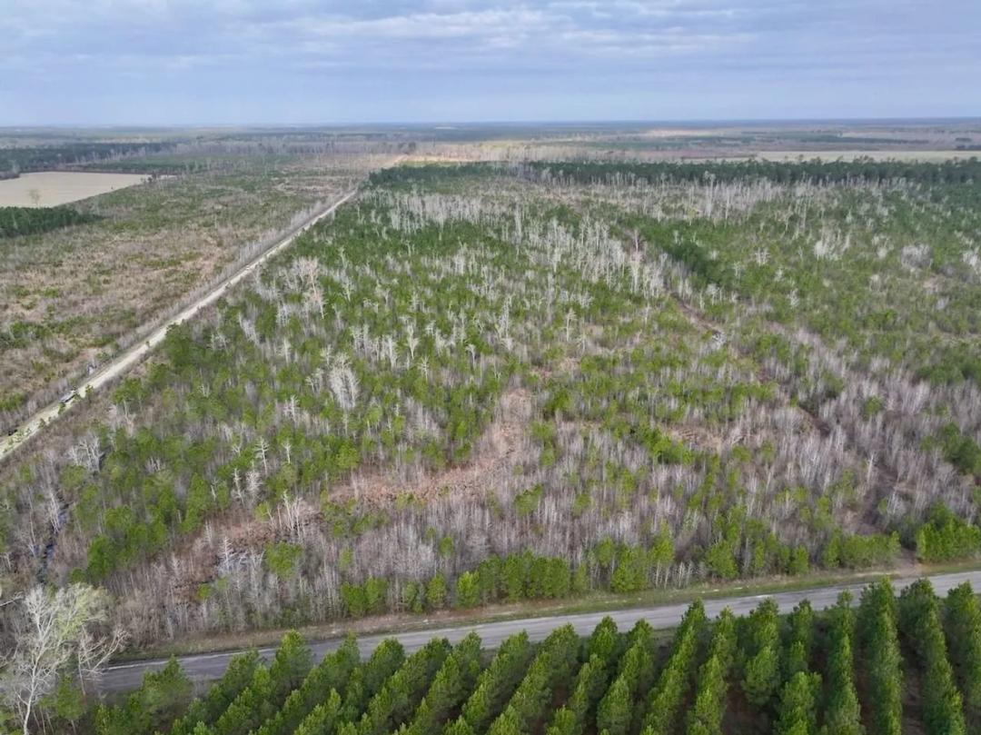 37+/- acres of Recreational Timber Land For Sale in Craven County NC!