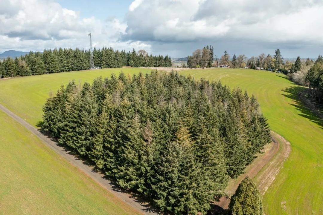 92884 Applegate Trail Road