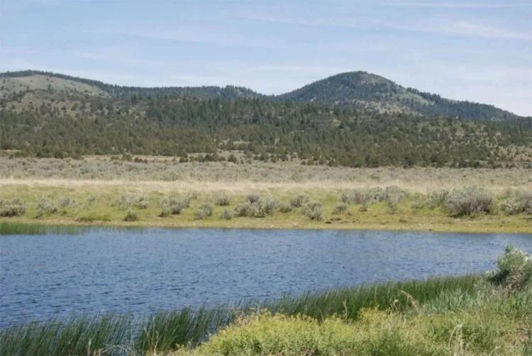 1,346 Acres – Blank Slate Under Blue Clear Skies – Lakeview, Oregon