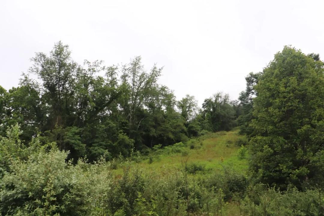 11.3+/- Acres Conveniently Located in Poca 