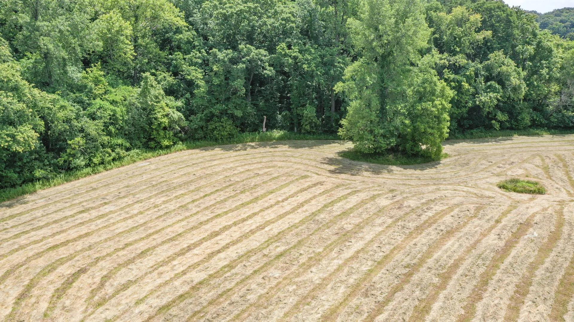 85608117-4