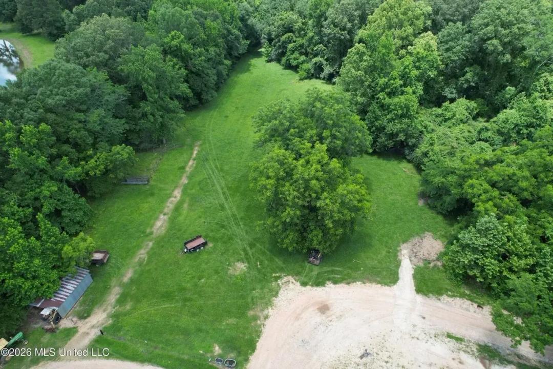 44 Acre Hunting Land in Wilkinson County, MS