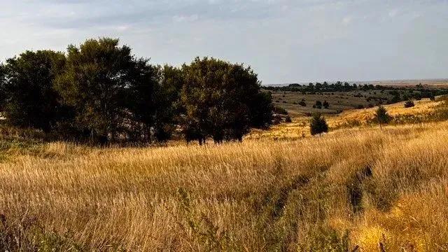 Farmland in Furnas County, Nebraska for Sale