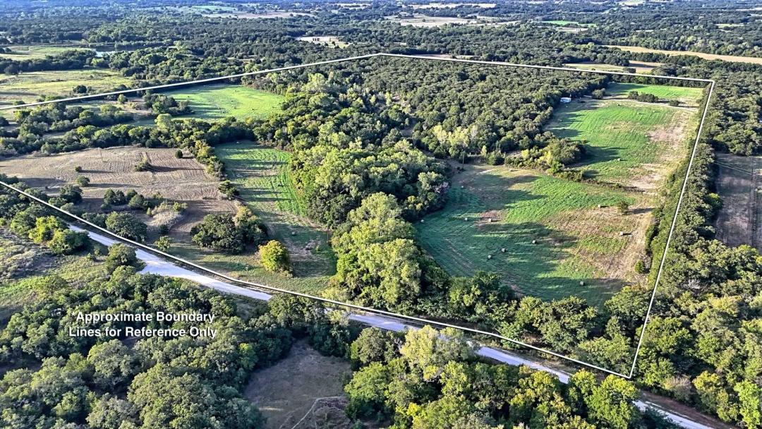 Alamo Ranch