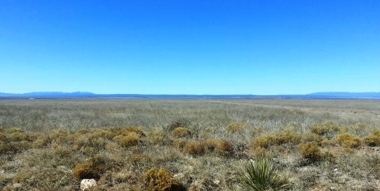 One Full Acre East of Albuquerque