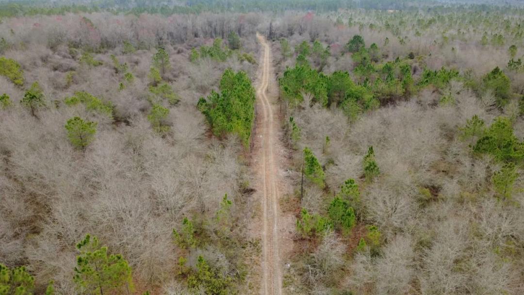 53 Acres of Prime Recreational Land - Waresboro, GA
