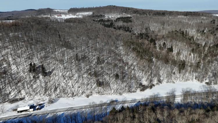 238 acres Creekfront Hunting Land Virgil NY