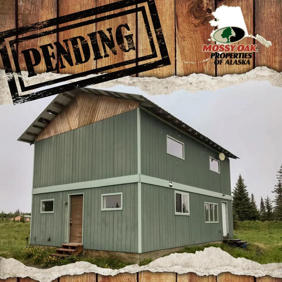 Blank Slate on 4.56 Acres in Ninilchik!