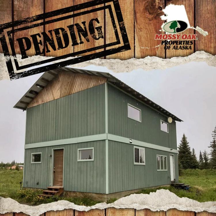 Blank Slate on 4.56 Acres in Ninilchik!