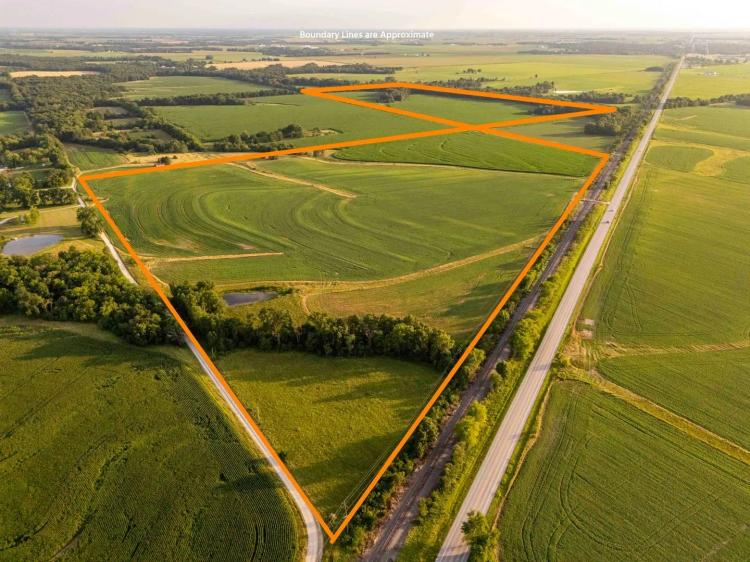 170± Acres Tillable Farm with Hunting opportunities for Sale – Pike/Ralls County