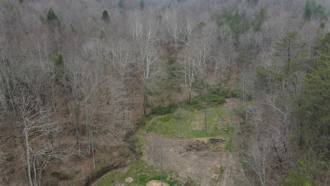 69.01 Acres with a Cabin in Scott County, TN 