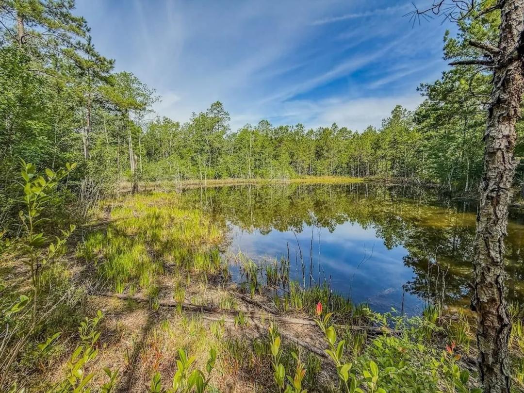 17.1 acres of residential/recreational Land For Sale in Chesterfield County SC!