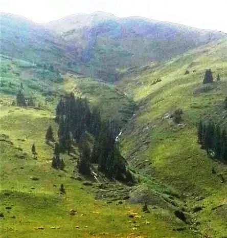 Camp * Prospect on your own Patented Mining Claim near historic Animas Forks Colorado