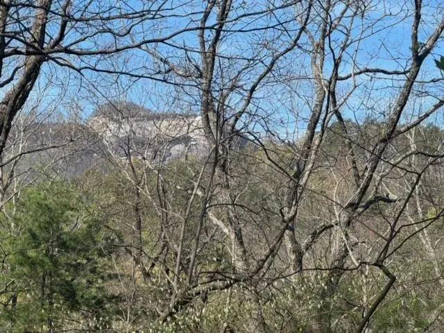 +/- 2.51 Acres on Ledge Road in Cleveland, SC