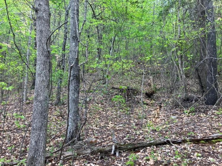 Anniston Tract