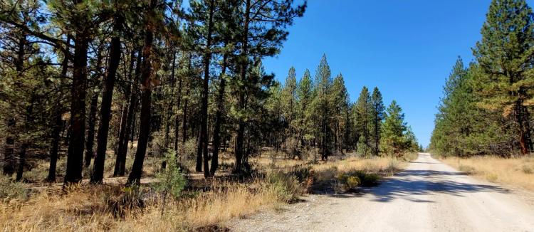 2 lots back to back. Trees. Near Beatty Oregon