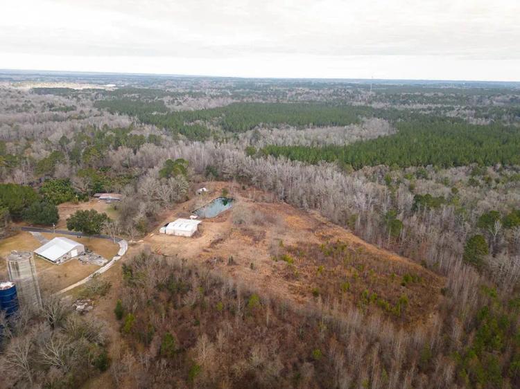 70 Acres in Clarke County, MS 