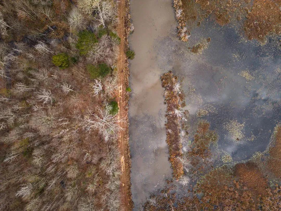 85923677-20