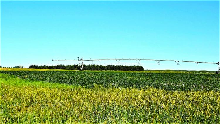 NEBRASKA CONFIDENTIAL INVESTMENT FARMS
