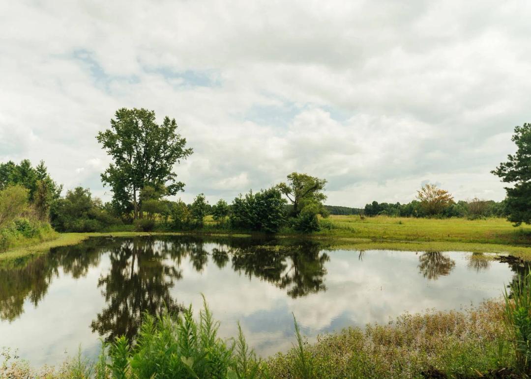 110± Acres of Pasture, Timber and Recreation
