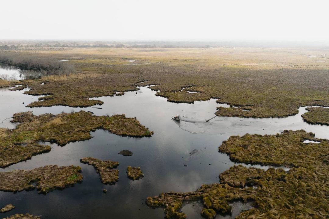 505± ACRE COASTAL MARSH TRACT IN IBERIA PARISH, LOUISIANA