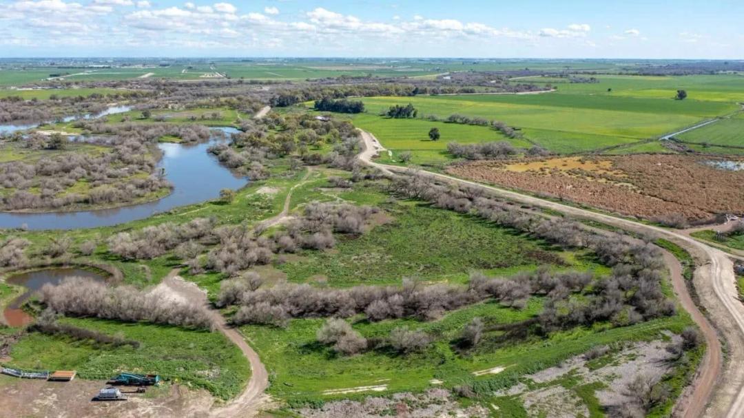 Lake Ramona Cattle Company