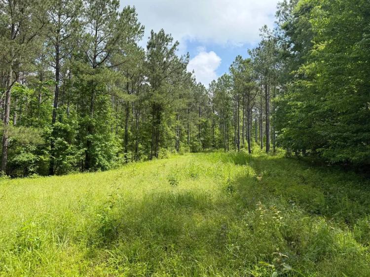 320 +/-ac Williams Place