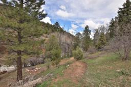 img_Riverfront-Acreage-in-Pitkin-County-Colorado-For-Sale-13