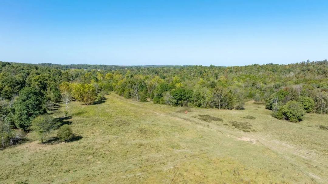 524 +/- CONTIGUOUS ACRES | FLOWING SPRING | ATV TRAILS | A HUNTER'S BLANK CANVAS, Ravenden, Arkansas