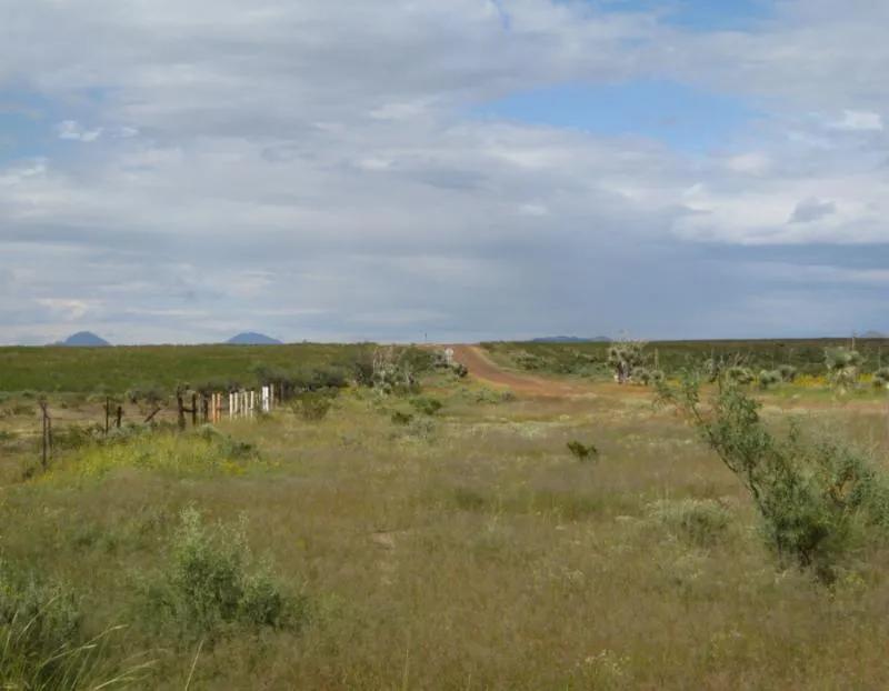  Expansive West Texas Oasis in La Hacienda Estates 4.98 Acre Homesite w/Roads & Power Lots 739 & 740 