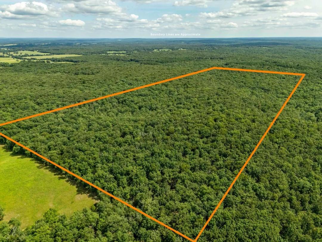 Fire Tower Road, Steelville, Crawford County, MO 65565 for Sale at Auction – Wepfer Property