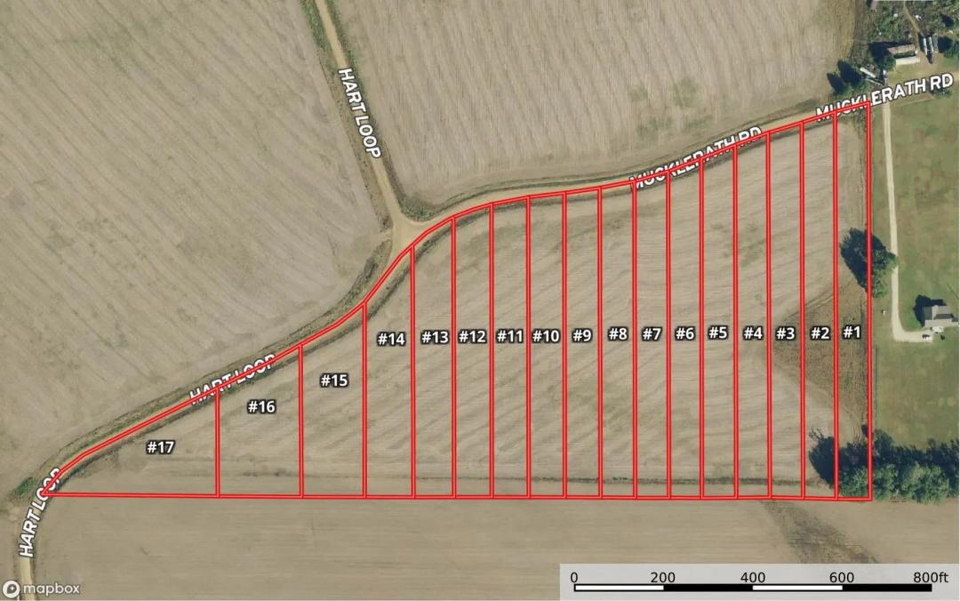 LA - Tensas Buckhorn Subdivision Camp Lots