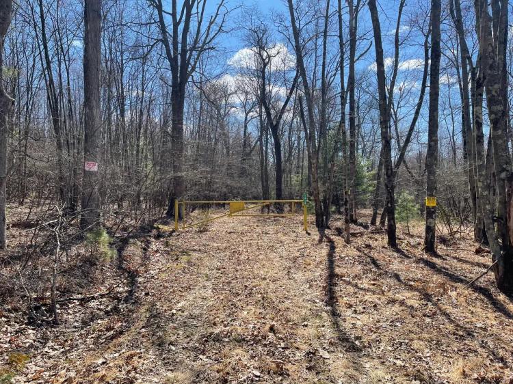 OLD COUDERSPORT PIKE - CLINTON COUNTY - 79 +/- ACRES