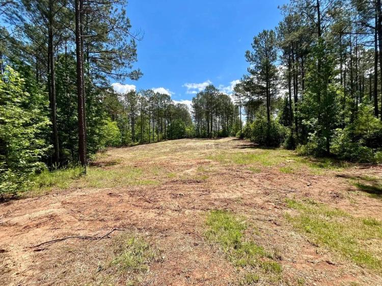 Rollin Mill Farm Tract 5 - 11+/- Acres