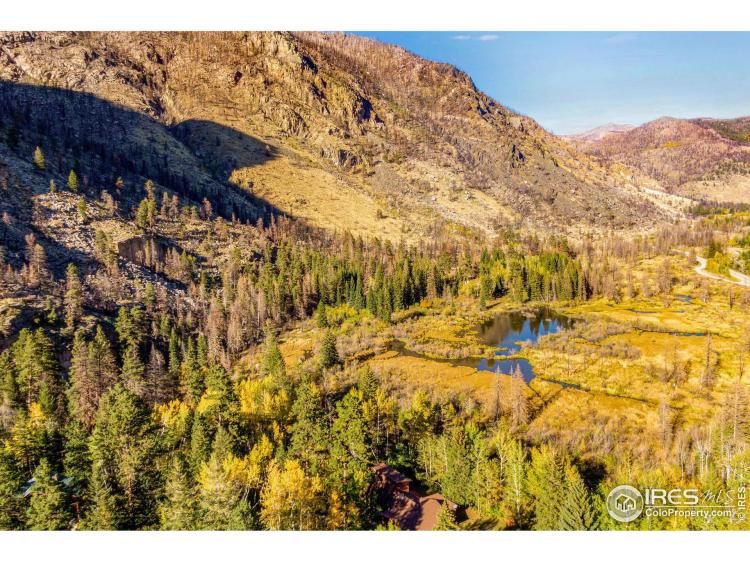 88 Shady Rest Ln Bellvue CO 80512, Larimer, CO