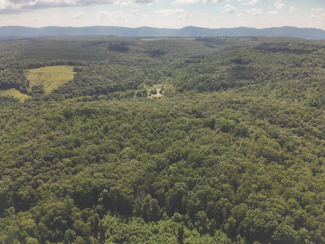 303 Acres in Bledsoe County, TN 